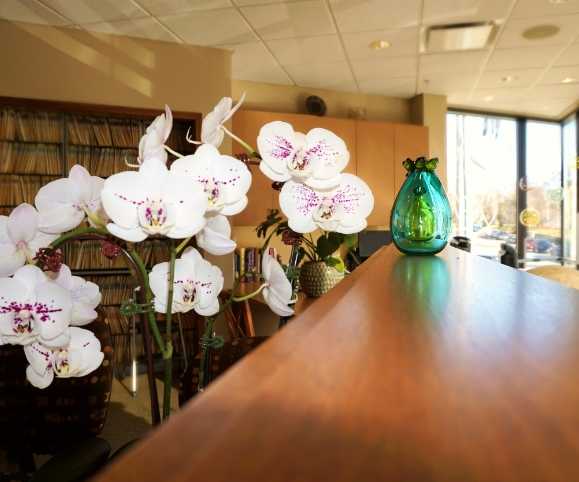 An orchid flower on the office front desk